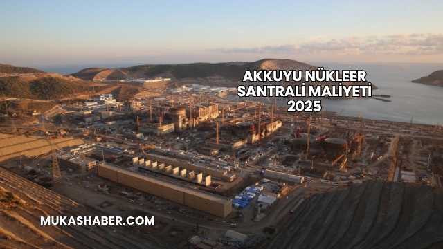 Akkuyu Nükleer Santrali Maliyeti 2025