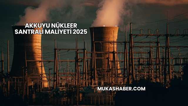 Akkuyu Nükleer Santrali Maliyeti 2025