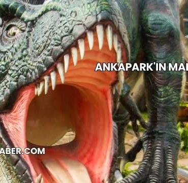 Ankapark'ın Maliyeti