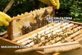 Arıcılık Yatırım Maliyeti 2025