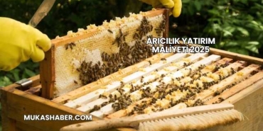 Arıcılık Yatırım Maliyeti 2025