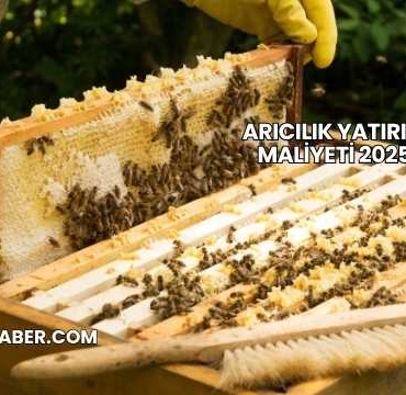 Arıcılık Yatırım Maliyeti 2025