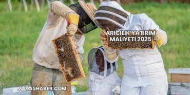 Arıcılık Yatırım Maliyeti 2025