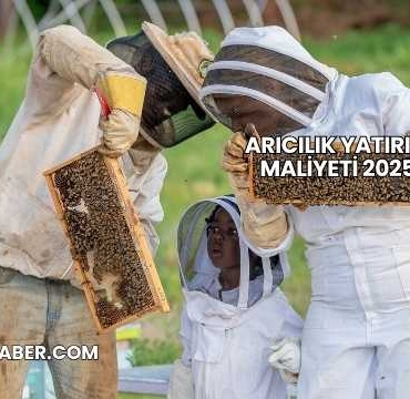Arıcılık Yatırım Maliyeti 2025