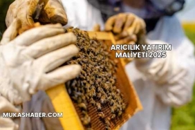 Arıcılık Yatırım Maliyeti 2025