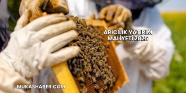 Arıcılık Yatırım Maliyeti 2025