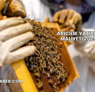 Arıcılık Yatırım Maliyeti 2025