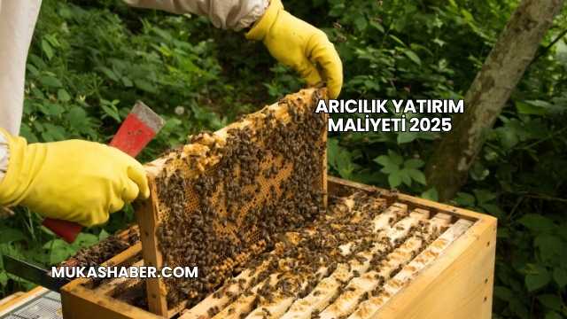 Arıcılık Yatırım Maliyeti 2025