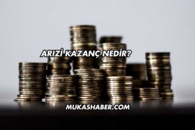 Arızi Kazanç Nedir?