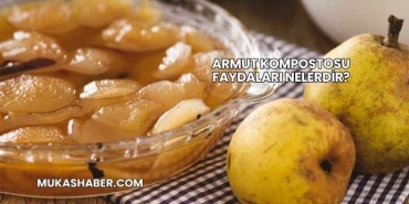 Armut Kompostosu Faydaları Nelerdir?