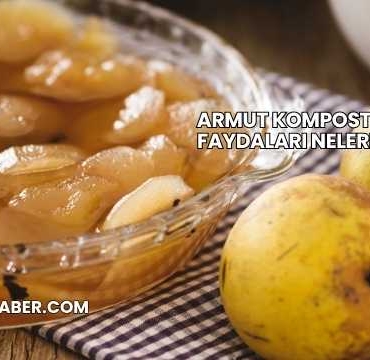 Armut Kompostosu Faydaları Nelerdir?