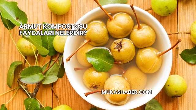 Armut Kompostosu Faydaları Nelerdir?