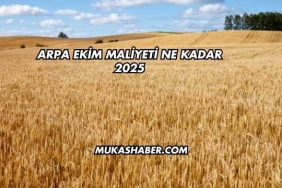Arpa Ekim Maliyeti Ne Kadar 2025