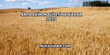 Arpa Ekim Maliyeti Ne Kadar 2025