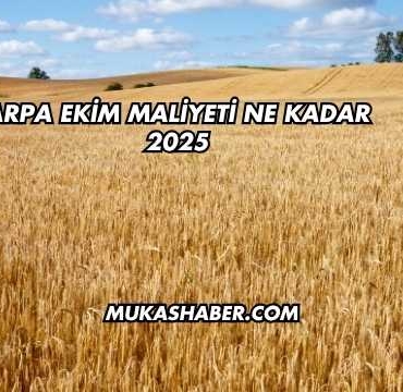 Arpa Ekim Maliyeti Ne Kadar 2025