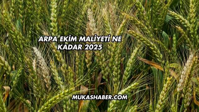 Arpa Ekim Maliyeti Ne Kadar 2025