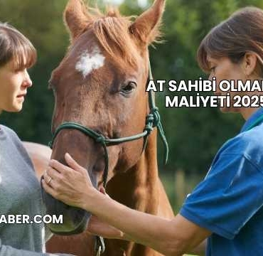 At Sahibi Olmanın Maliyeti 2025