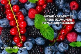 Avşar Karadut ve Frenk Üzümünün Faydaları Nelerdir?