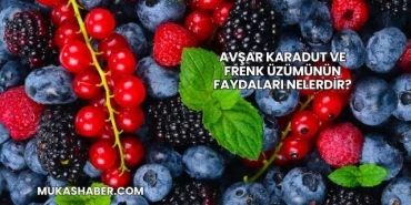 Avşar Karadut ve Frenk Üzümünün Faydaları Nelerdir?
