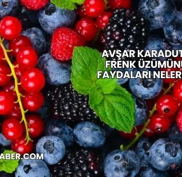 Avşar Karadut ve Frenk Üzümünün Faydaları Nelerdir?