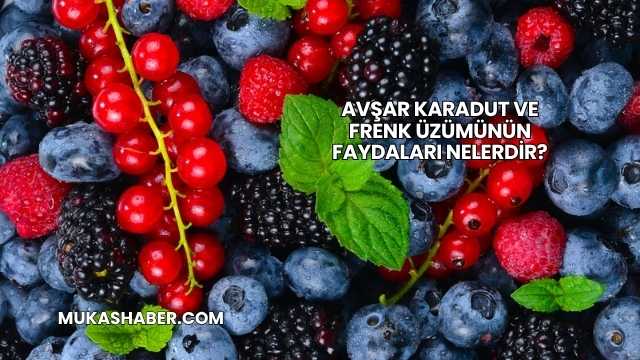 Avşar Karadut ve Frenk Üzümünün Faydaları Nelerdir?