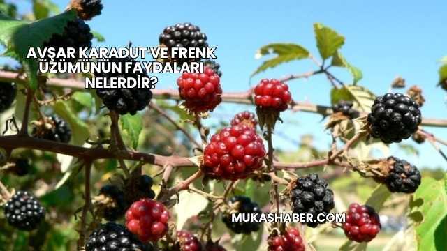 Avşar Karadut ve Frenk Üzümünün Faydaları Nelerdir?