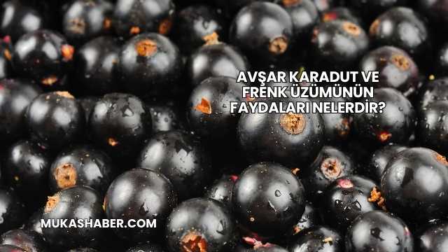 Avşar Karadut ve Frenk Üzümünün Faydaları Nelerdir?
