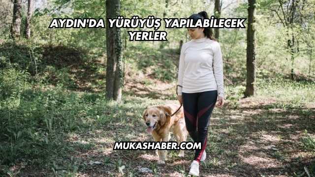 Aydın'da Yürüyüş Yapılabilecek Yerler