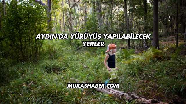 Aydın'da Yürüyüş Yapılabilecek Yerler
