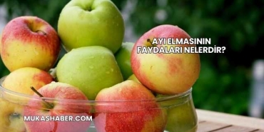 Ayı Elmasının Faydaları Nelerdir?