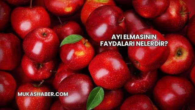 Ayı Elmasının Faydaları Nelerdir?
