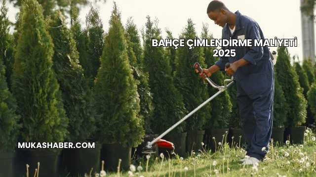 Bahçe Çimlendirme Maliyeti 2025