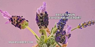Baş Otunun Faydaları Nelerdir?