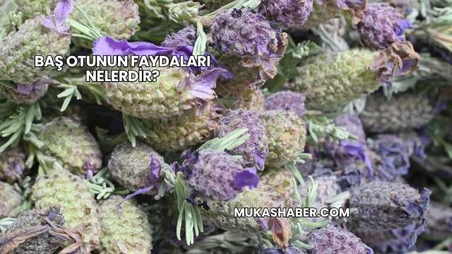 Baş Otunun Faydaları Nelerdir?