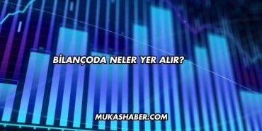 Bilançoda Neler Yer Alır?