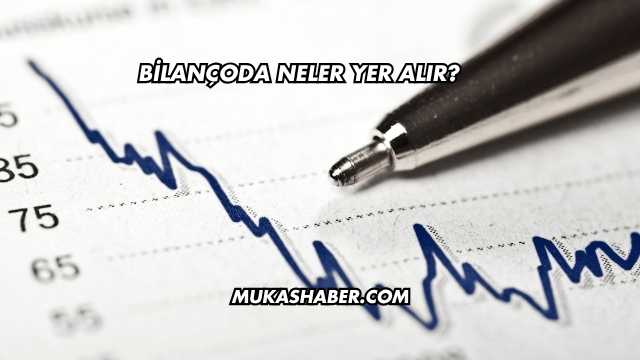 Bilançoda Neler Yer Alır?