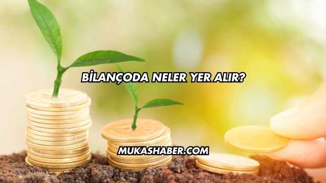 Bilançoda Neler Yer Alır?
