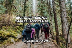 Bingöl'de Yürüyüş Yapılabilecek Yerler