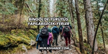 Bingöl'de Yürüyüş Yapılabilecek Yerler
