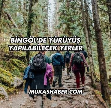 Bingöl'de Yürüyüş Yapılabilecek Yerler