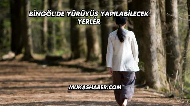 Bingöl'de Yürüyüş Yapılabilecek Yerler