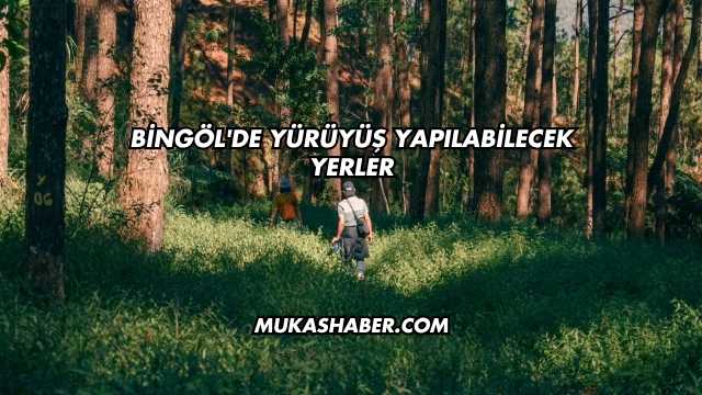 Bingöl'de Yürüyüş Yapılabilecek Yerler