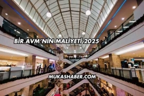 Bir AVM'nin Maliyeti 2025