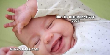 Bir Tüp Bebek Maliyeti 2025