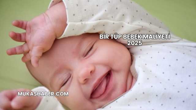 Bir Tüp Bebek Maliyeti 2025