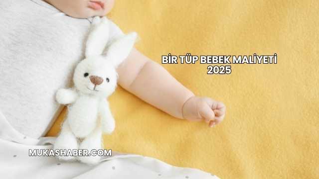 Bir Tüp Bebek Maliyeti 2025