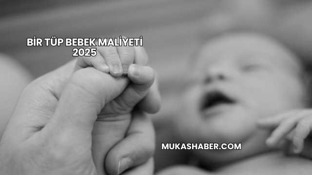 Bir Tüp Bebek Maliyeti 2025