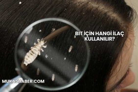 Bit İçin Hangi İlaç Kullanılır?