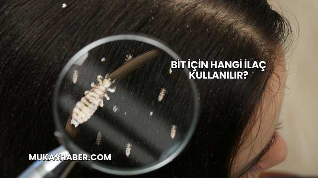 Bit İçin Hangi İlaç Kullanılır?