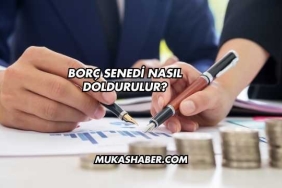 Borç Senedi Nasıl Doldurulur?